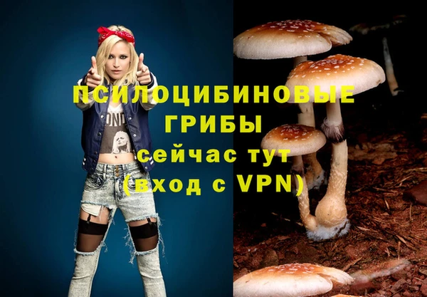кокс Снежинск