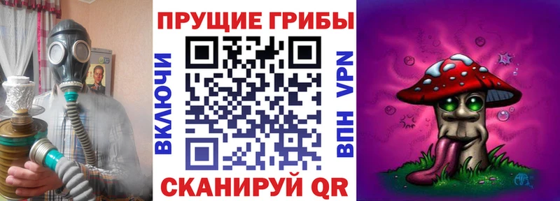 Псилоцибиновые грибы прущие грибы  нарко площадка официальный сайт  MEGA онион  Мурманск  закладки 